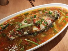 -付掌柜在成都·热炒砂锅集(金禾店)