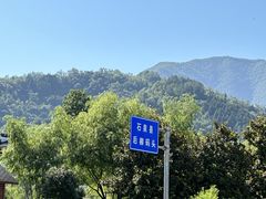 -后柳水乡