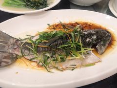 -江门新会碧桂园凤悦凤凰酒店(万达广场店)