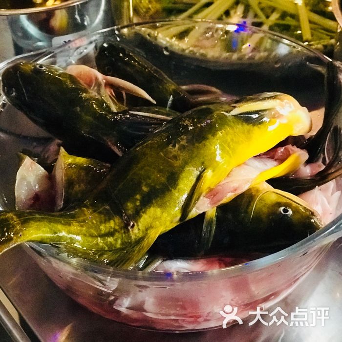 熙憨魚府·活水·活魚·活色生香