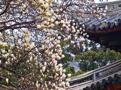 -龙华寺