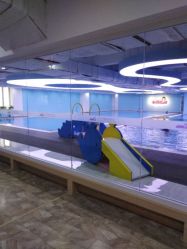 -纯一宝贝儿童游泳中心(生态大街店)