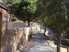 -延安杨家岭革命旧址