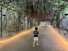 -苏州太湖国家湿地公园