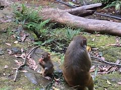 -张关合渣(航空大道店)