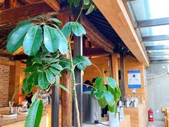 -VOYAGE COFFEE(北锣鼓巷店)