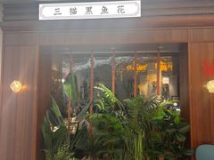 -三猫黑鱼花(南大店)