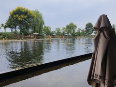 -百林岛梦里水乡