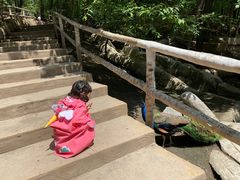 -哈尔滨北方森林动物园