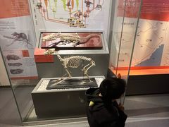 -国家自然博物馆