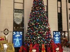 -富力希尔顿酒店·地阔自助餐厅