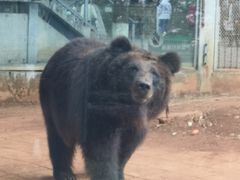 -昆明动物园