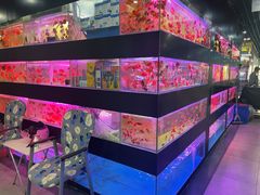 -苏州艺都古玩花鸟市场