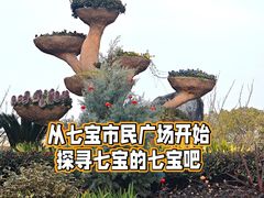 -七宝老街-闵行市民文化广场