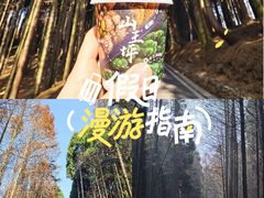 -山王坪喀斯特国家生态公园