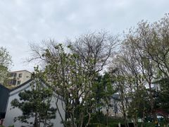 -玲珑塔公园