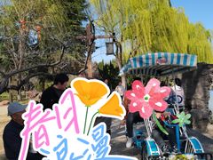 -洛阳市隋唐城遗址植物园