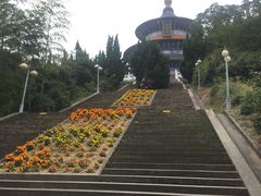 -天下玉苑