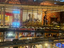 -卡通尼·Safari非洲探索乐园·生日会(金桥国际商业广场店)