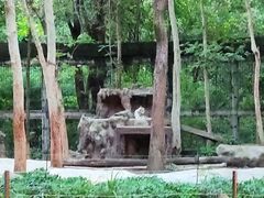 -清迈夜间动物园