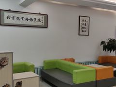 -北京观赏动物医院·24小时大型综合·猫专科·异宠专科
