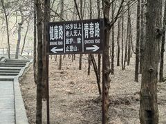 -红螺寺