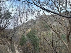 -北京鹫峰国家森林公园