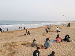 -日照世帆赛基地