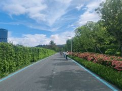 -光明小镇欢乐田园