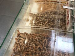 -生活林(河北路店)