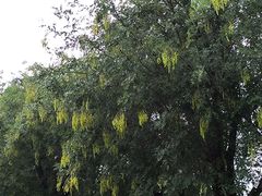 -汉长安城未央宫国家考古遗址公园