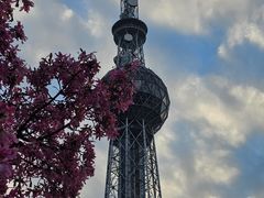 -文华公园(禅城区)