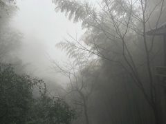 -藏龙百瀑风景区