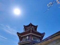 -北京鹫峰国家森林公园