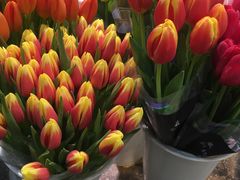 -双季花艺园艺市场(浦东店)