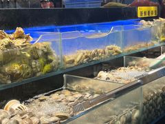 -苏格里岛自助海鲜烤肉(中州万达店)