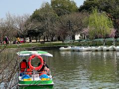 -苏州上方山国家森林公园