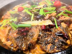 -老板恋上鱼(恒隆广场店)