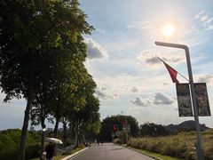 -光明小镇欢乐田园