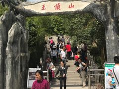 -王顺山国家森林公园