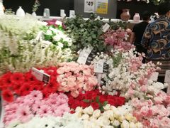 -宜家家居(哈尔滨商场店)