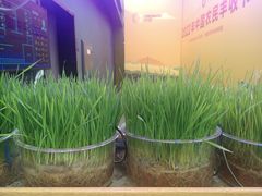 -中国天府农业博览园