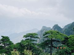 -黄山风景区