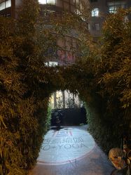 -酉嘉瑜伽YO+YOGA