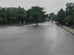 -北陵公园