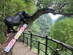 -蝶舞清江·恩施地心谷景区