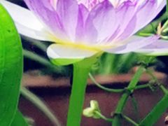 -肴约·花园式餐厅(湖里店)