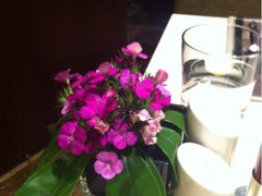 iphone_upload_pic-广州中心皇冠假日酒店-环市食坊·海鲜自助餐厅