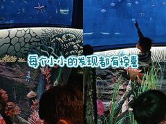 -沈阳海洋探索中心