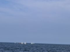 -日照世帆赛基地